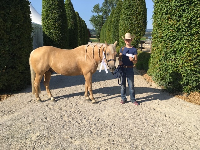 Elena Wuorimaa valmiina juniorien MMreiningiin Suomen Ratsastajainliitto