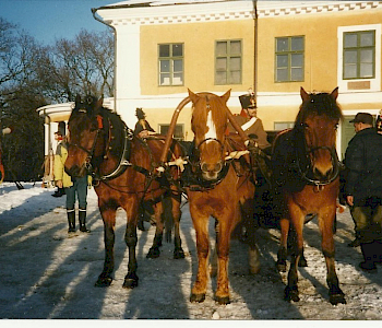 Hovimäki-sarjan kuvauksissa, troikka