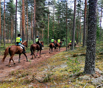 Vaellusratsastusta Hämeenkankaalla 2019 (kuva Kirsi Jaakkola)